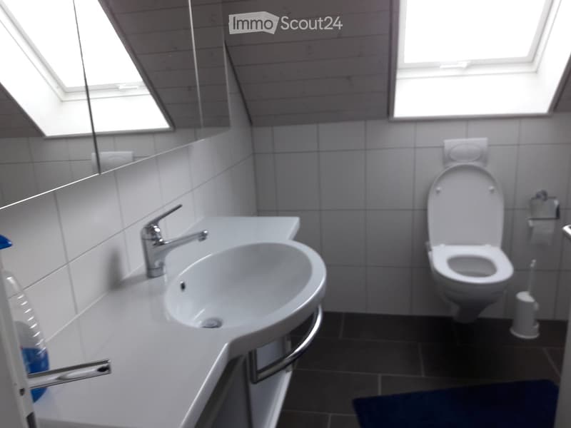 Modern bathroom with white tiles, a sink with a modern faucet, a toilet, and a toilet paper holder. The room features skylight windows for natural light.