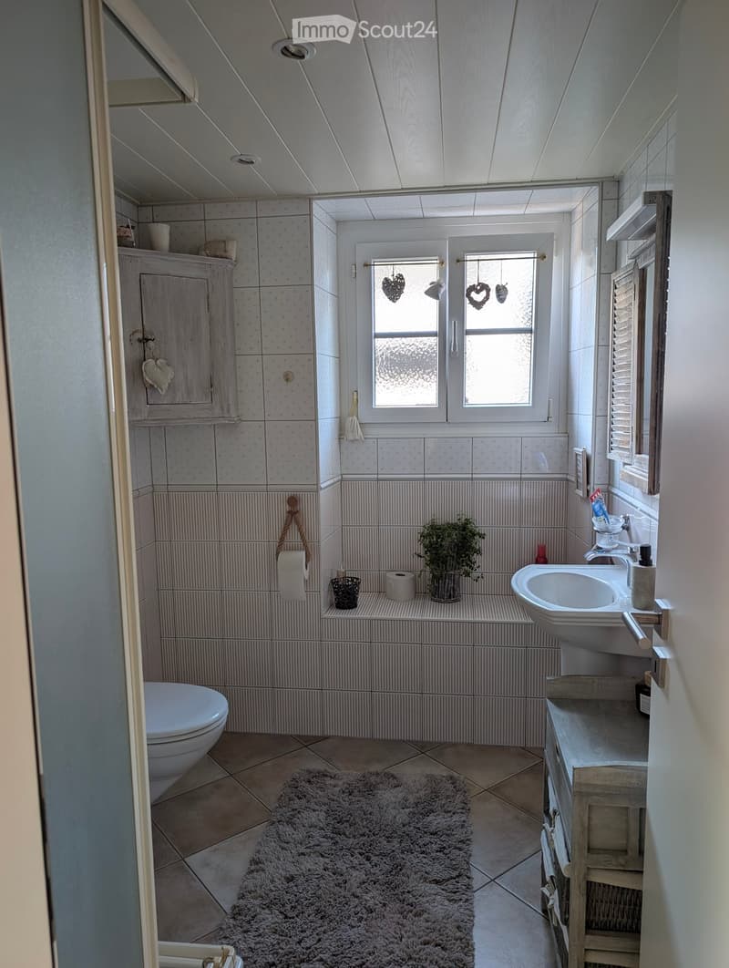 Bathroom with a toilet, sink, cabinet, mirror, plant, and a fluffy rug on the floor.