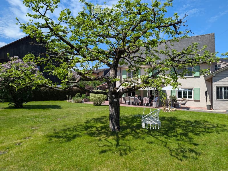 Lush garden with a large tree, swing chair, outdoor dining area, and patio furniture.