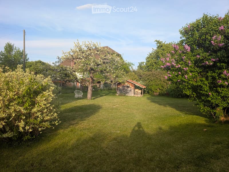 Well-maintained garden with a grassy lawn, flowering trees, shrubs, and a small wooden shed. A white hanging chair is visible near a tree trunk.