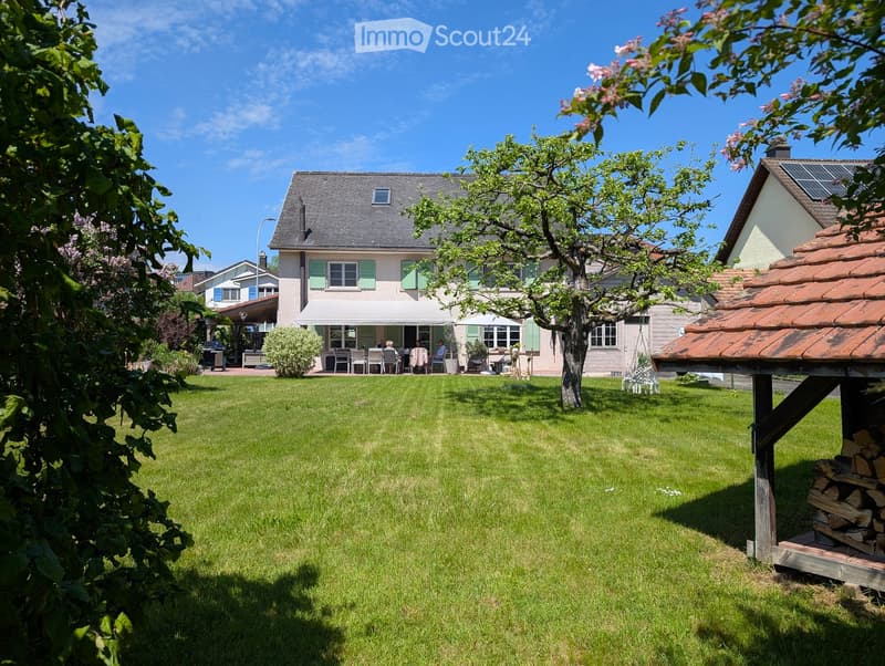 Lush green lawn with trees, a house with green shutters, outdoor seating area, and a woodpile under a small shelter.