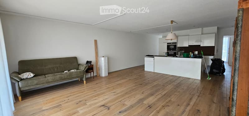 Open-plan living and dining area with a green sofa, coffee table, and a modern kitchen island. The space features wooden flooring, white cabinets, and a hanging lamp.