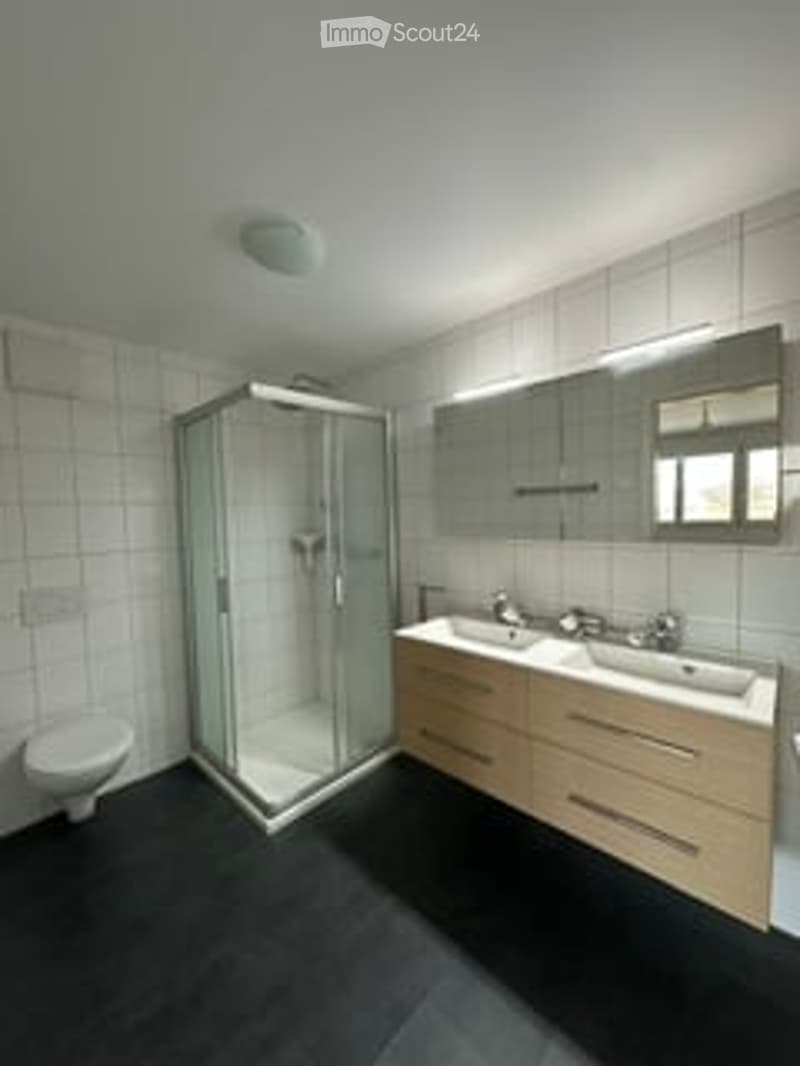 Modern bathroom with white tiled walls, a glass-enclosed shower stall, a toilet, a double sink with wooden cabinets, and a large mirror above the sink.