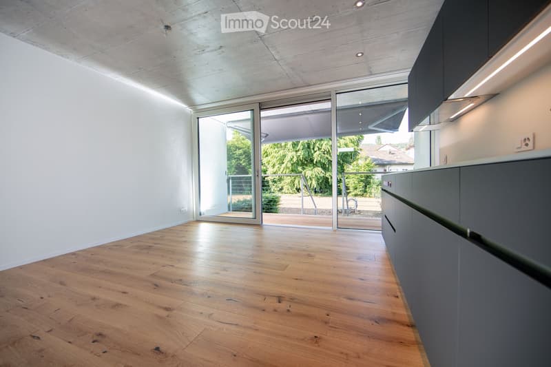 Empty room with wooden flooring, white walls, and a large sliding glass door leading to an outdoor area. Minimalist design with built-in cabinets on one side.