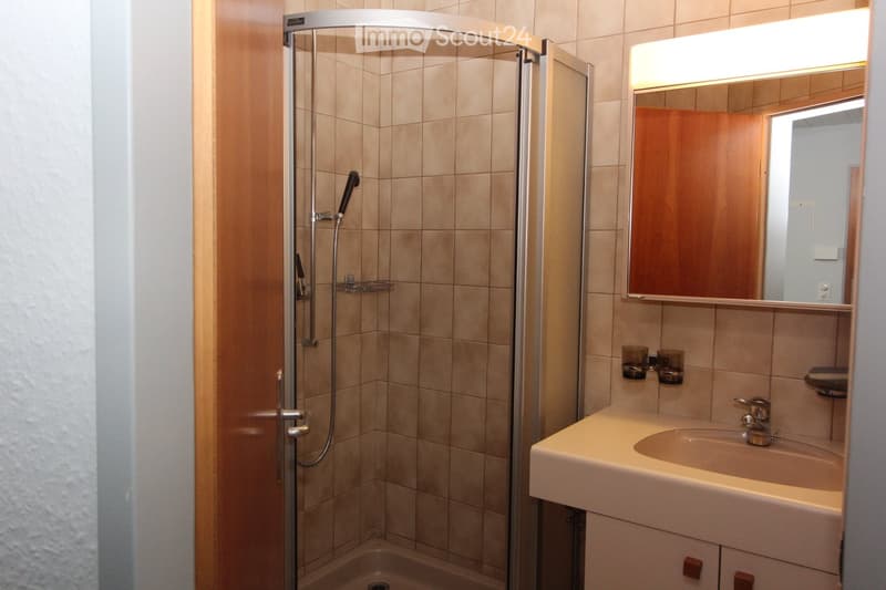 Modern bathroom with a glass-enclosed shower, a sink with a mirror above it, and a small shelf with cups.