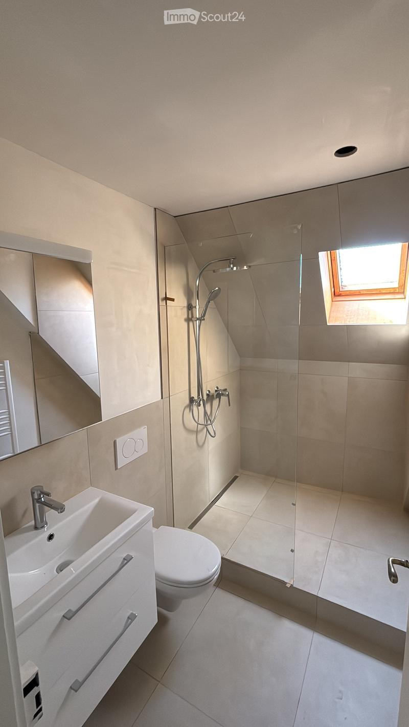 Modern bathroom with a white sink, toilet, glass-enclosed shower, and a skylight window providing natural light.