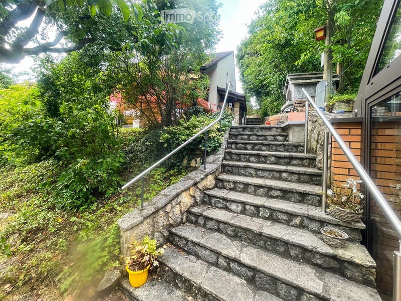 Treppe vom Haus zum unteren Teil des Gartens mit Wintergarten