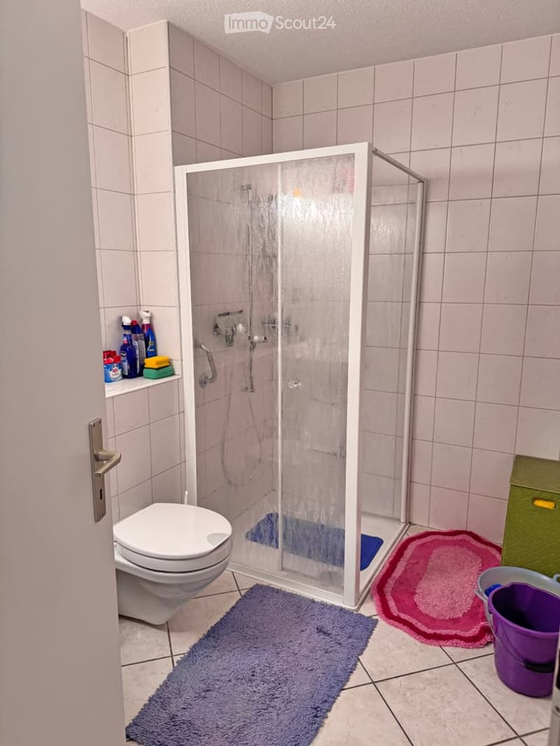 Bathroom with a toilet, glass-enclosed shower, tiled walls, and a small shelf holding cleaning supplies. Two colorful rugs are placed on the floor, and a purple bucket is visible near the shower.
