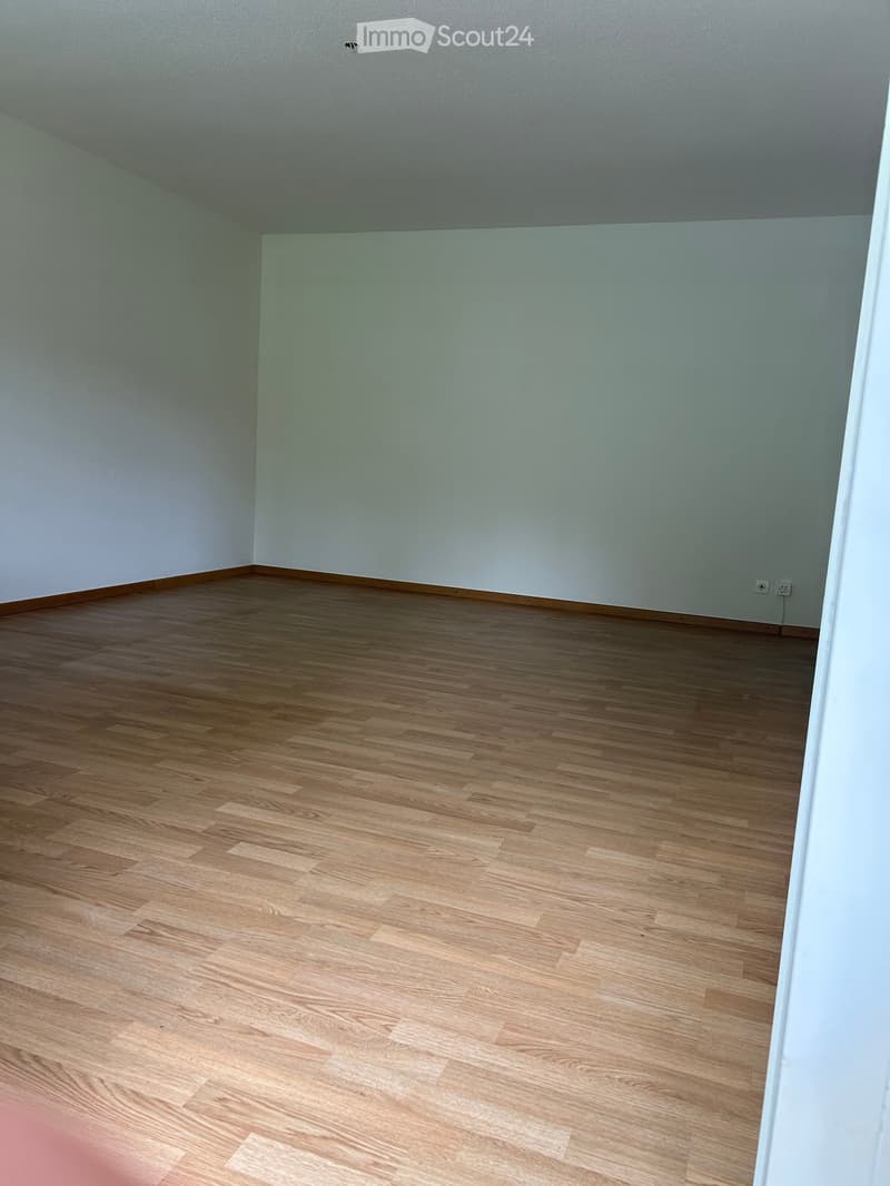Empty room with light wooden flooring and white walls, featuring a single electrical outlet on the wall.