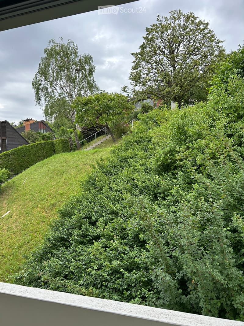 A well-maintained garden with a neatly trimmed hedge, a staircase leading up, and surrounding trees and shrubs.