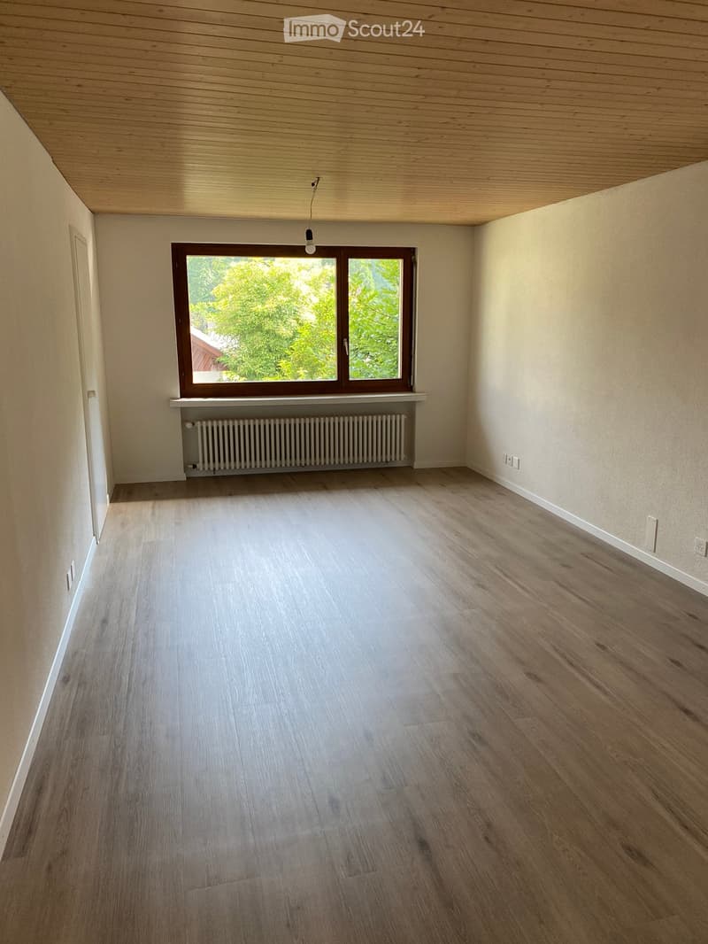 Empty room with light wooden flooring, white walls, a large window with a radiator below, and a simple light fixture hanging from the ceiling.