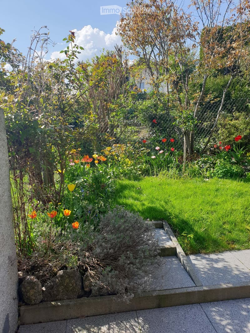 3 1/2-Zimmer Gartenwohnung mit grossem Umschwung (5)