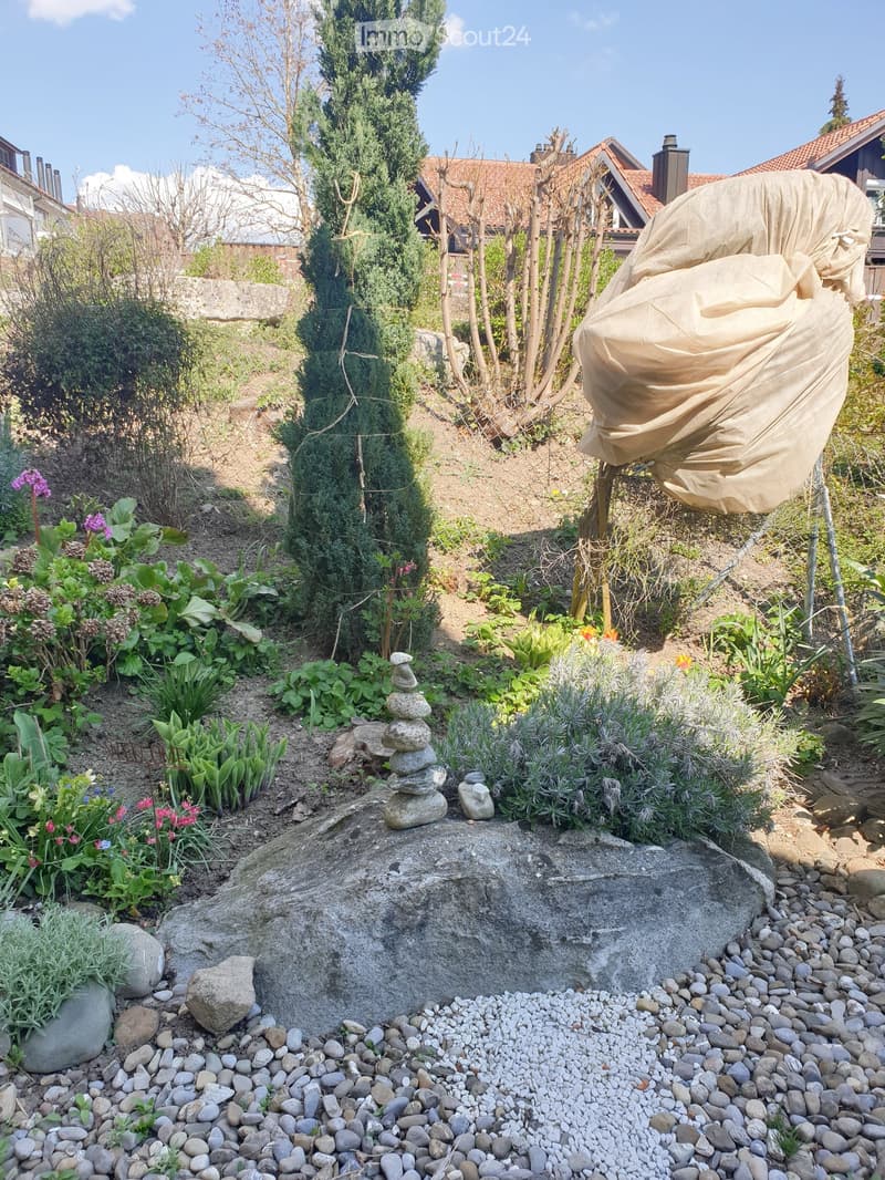 3 1/2-Zimmer Gartenwohnung mit grossem Umschwung (6)