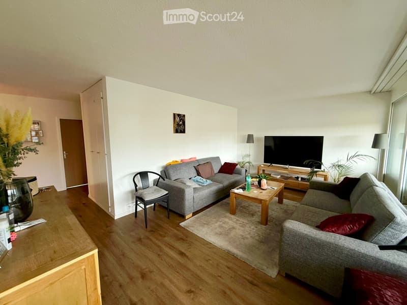 Modern living room with grey sofas, wooden coffee table, TV, and decorative items.