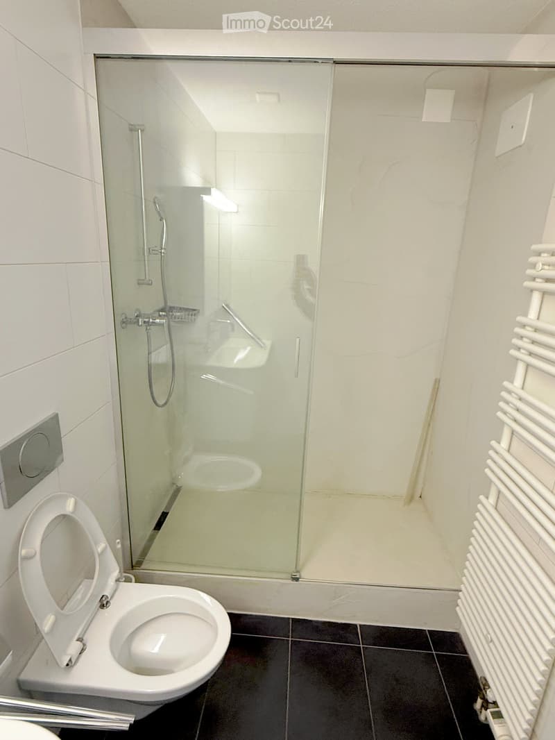 Modern bathroom with white tiled walls, a toilet, a glass-enclosed shower, and a white radiator.
