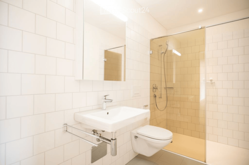 Modern bathroom with white tiles, a sink, toilet, mirror, and a glass-enclosed shower with a handheld showerhead.