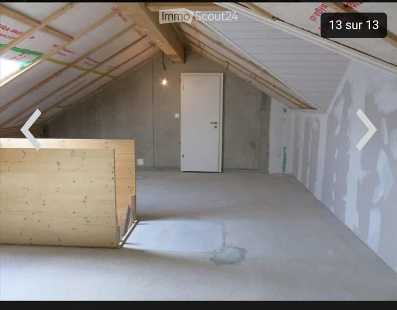 Empty attic space with exposed wooden beams, concrete walls, and a single white door. The floor is unfinished concrete, and there is a small wooden platform on the left side.