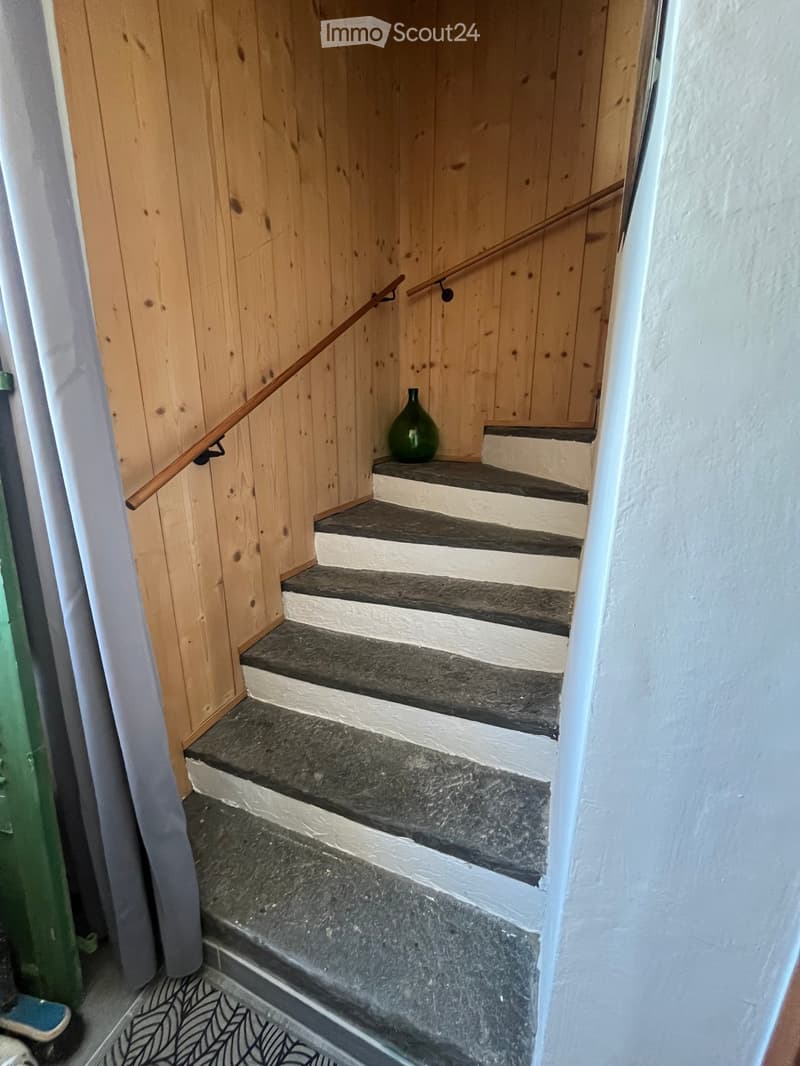 Wooden-paneled hallway with a staircase featuring dark stone steps and white borders, a wooden handrail, and a green vase on the landing.