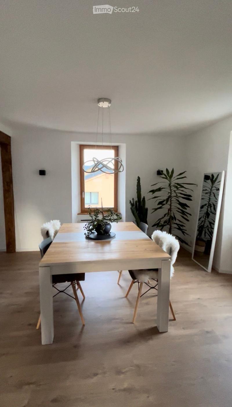Dining room with a wooden table, four chairs, a potted plant, and a modern floor lamp.