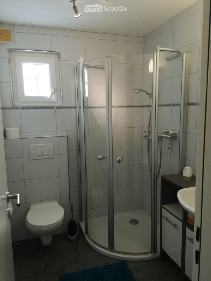 Modern bathroom with a toilet, sink, glass-enclosed shower, and a mirror above the sink. The shower has a handheld sprayer and a built-in seat. The walls are tiled in light gray with blue accents, and the floor is dark tiled.