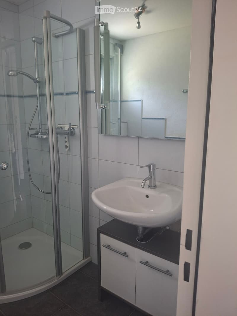 Modern bathroom with a white sink, chrome faucet, mirrored cabinet, and a glass-enclosed shower with multiple spray options.