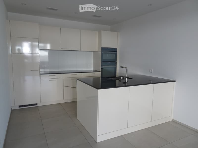 Modern kitchen with white cabinets, black countertop, stainless steel sink, and built-in oven.