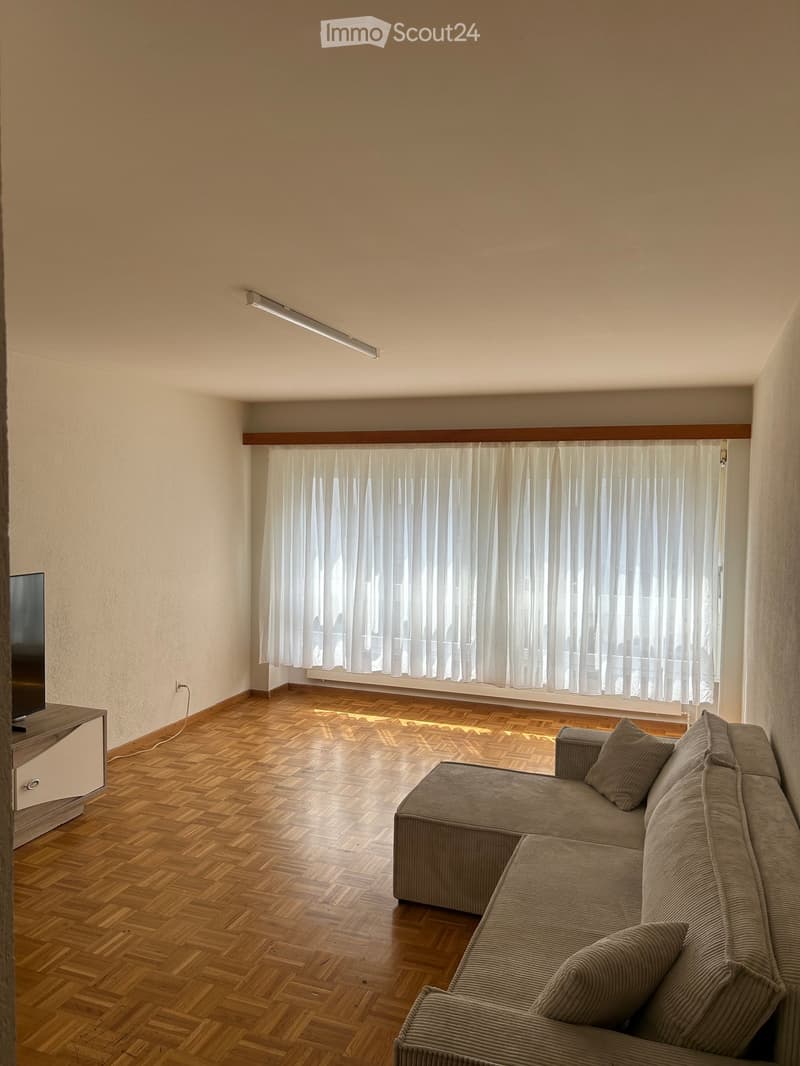 Living room with wooden parquet flooring, large window with white curtains, grey sofa, television on a wooden stand.