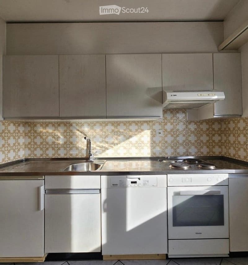 Modern kitchen with stainless steel appliances, including a sink, stove, oven, and dishwasher, complemented by sleek grey cabinets and a patterned backsplash.