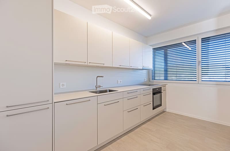 Modern kitchen, white cabinets, wooden floor, stainless steel sink, electric oven, dishwasher, white walls, windows with blinds