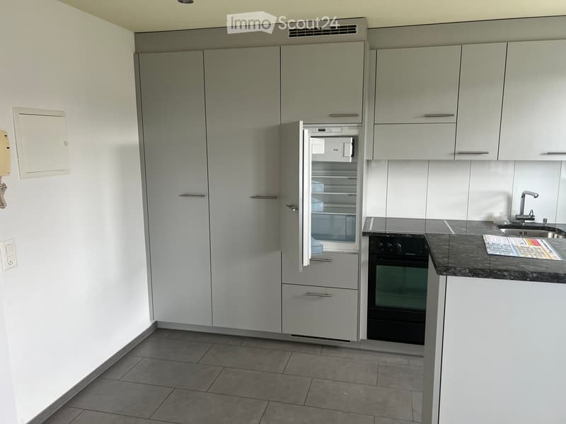 Modern kitchen with grey cabinets, stainless steel appliances, and a dark countertop.