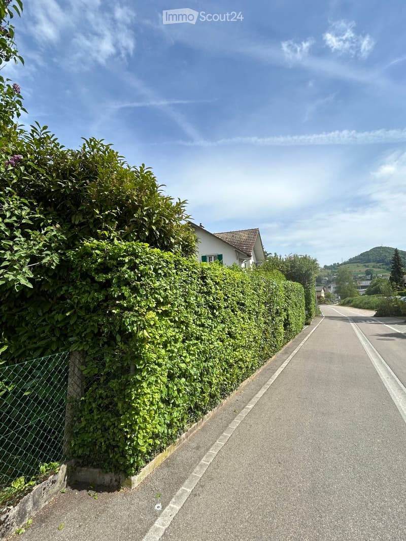 A quiet residential street lined with a tall hedge and a metal fence on one side, with a white house visible beyond the greenery. The road is paved and leads into the distance with a clear blue sky overhead.