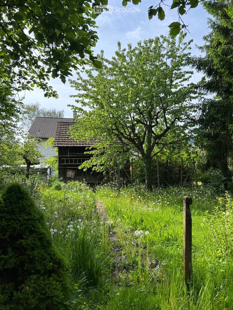 Lush garden with tall grass, wildflowers, trees, and a wooden structure with a tiled roof in the background.