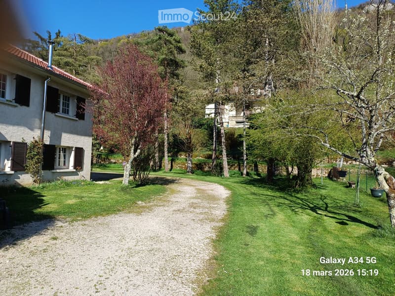 A well-maintained garden with a gravel pathway leading to a house, surrounded by trees and greenery, with a clear blue sky overhead.