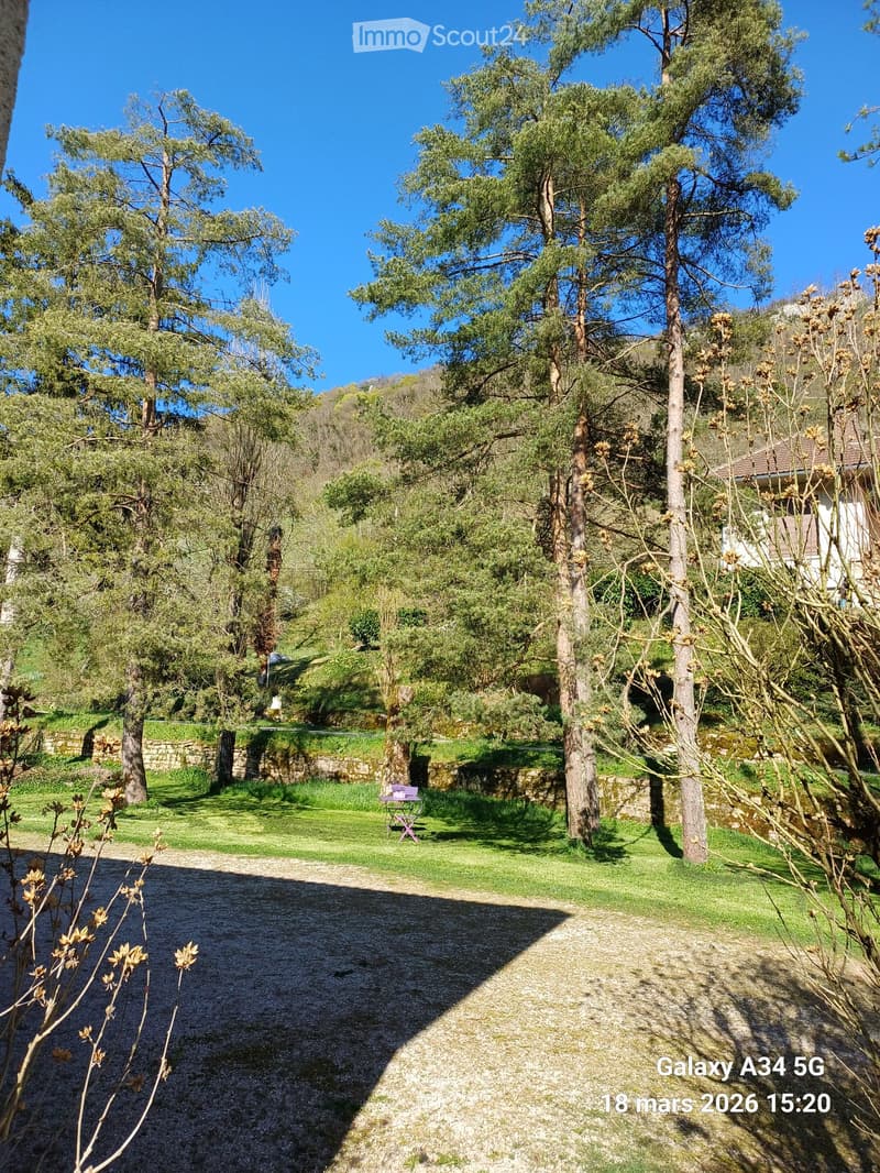 A serene garden area with a gravel pathway, lush green grass, tall trees, and a small table with chairs in the background.