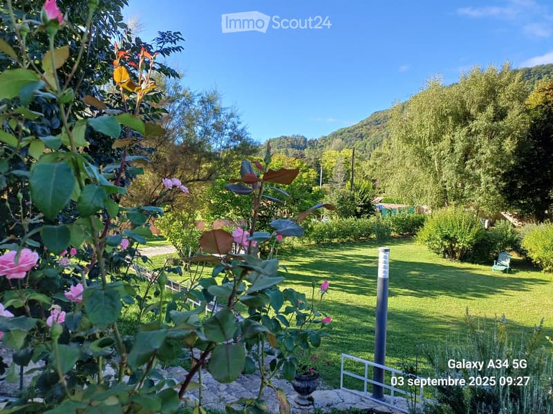 A well-maintained garden with a variety of flowering plants, including roses, and a neatly trimmed lawn. The background features dense greenery and a hill under a clear blue sky.