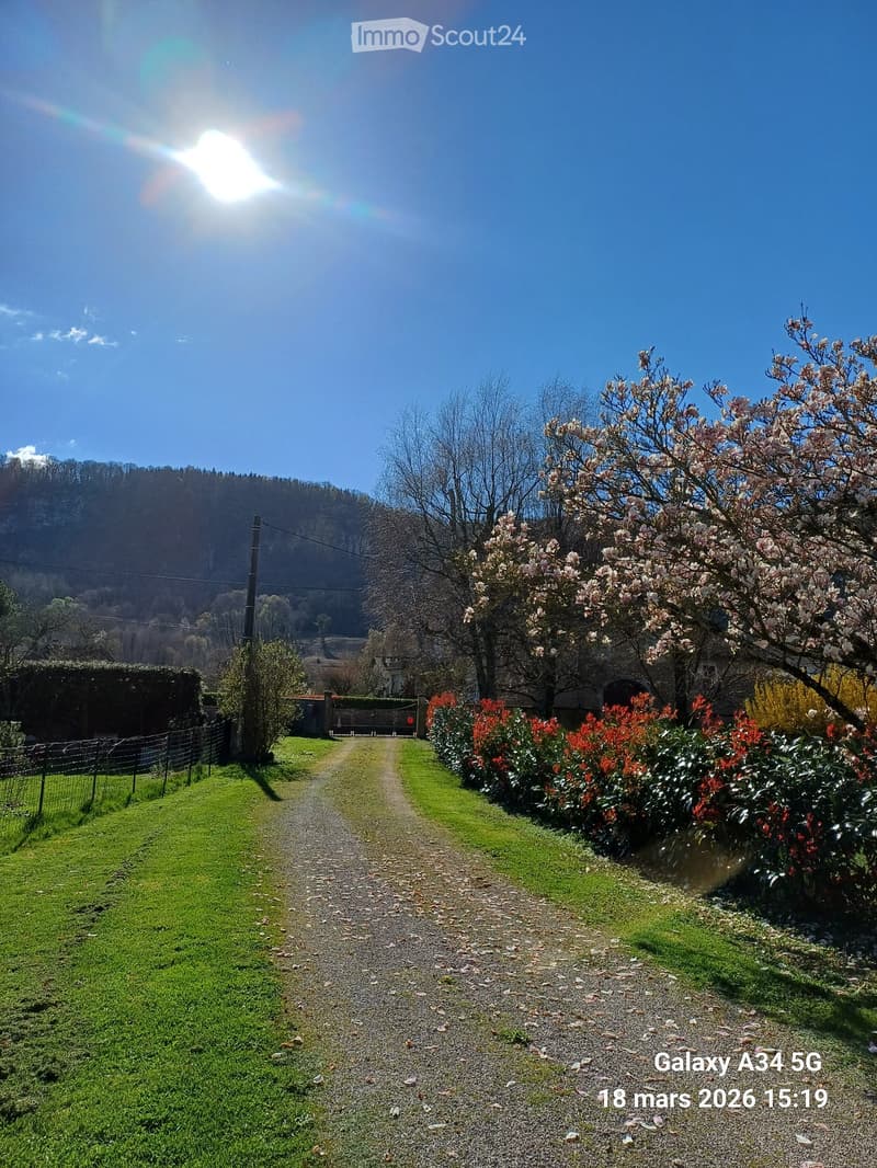 A well-maintained garden path lined with flowering bushes and trees, leading to a house in the background, with a clear blue sky and distant hills.