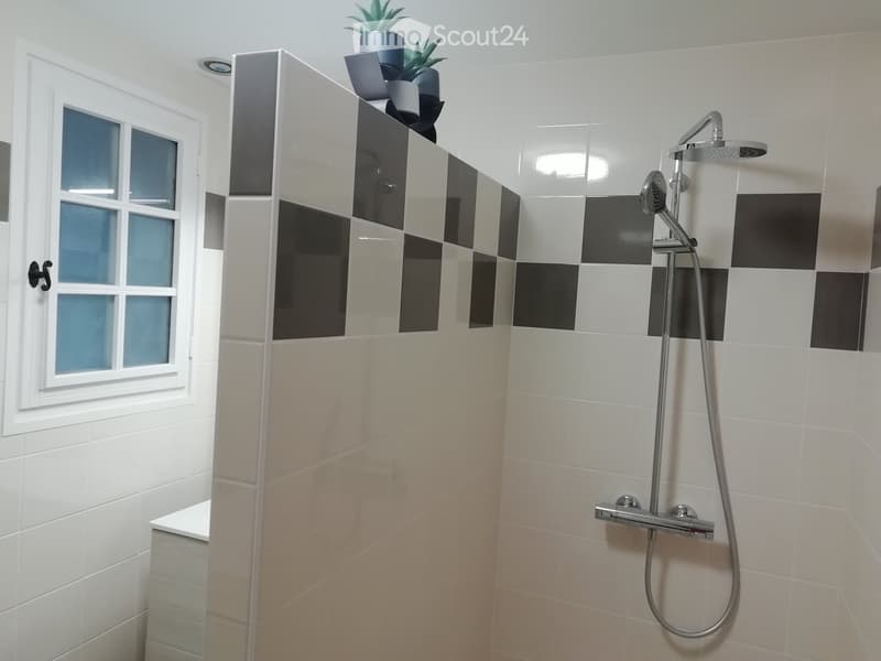 Modern bathroom with white and black tiled walls, a glass shower enclosure, a handheld showerhead, and a small potted plant on the cabinet.