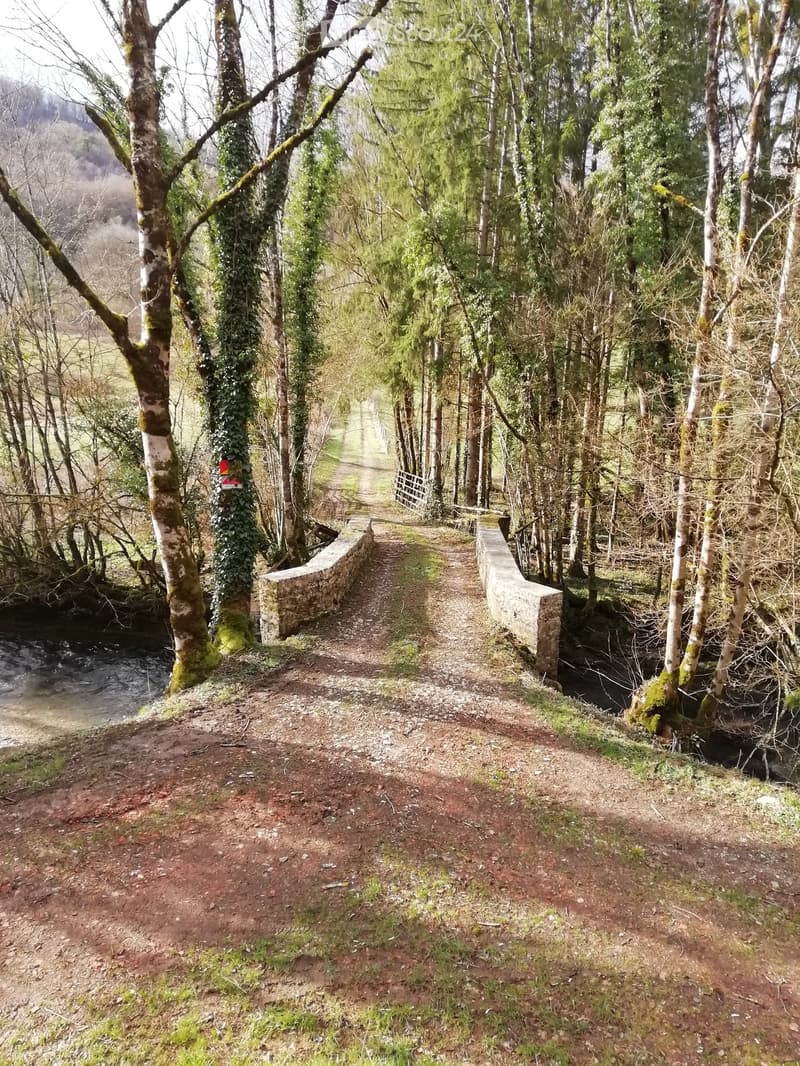 A narrow gravel path bordered by stone walls, flanked by trees and a small stream, leading into a forested area.