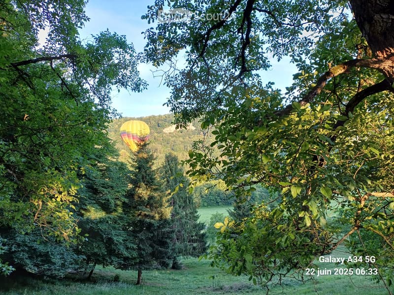 A lush garden with dense trees and a hot air balloon in the background, surrounded by greenery and a clear blue sky.