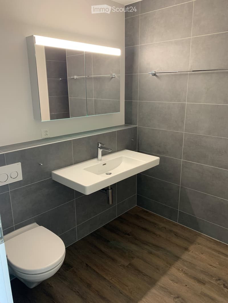 Modern bathroom with a white toilet, a white sink with a chrome faucet, a large mirror with built-in lighting, and grey tiled walls.