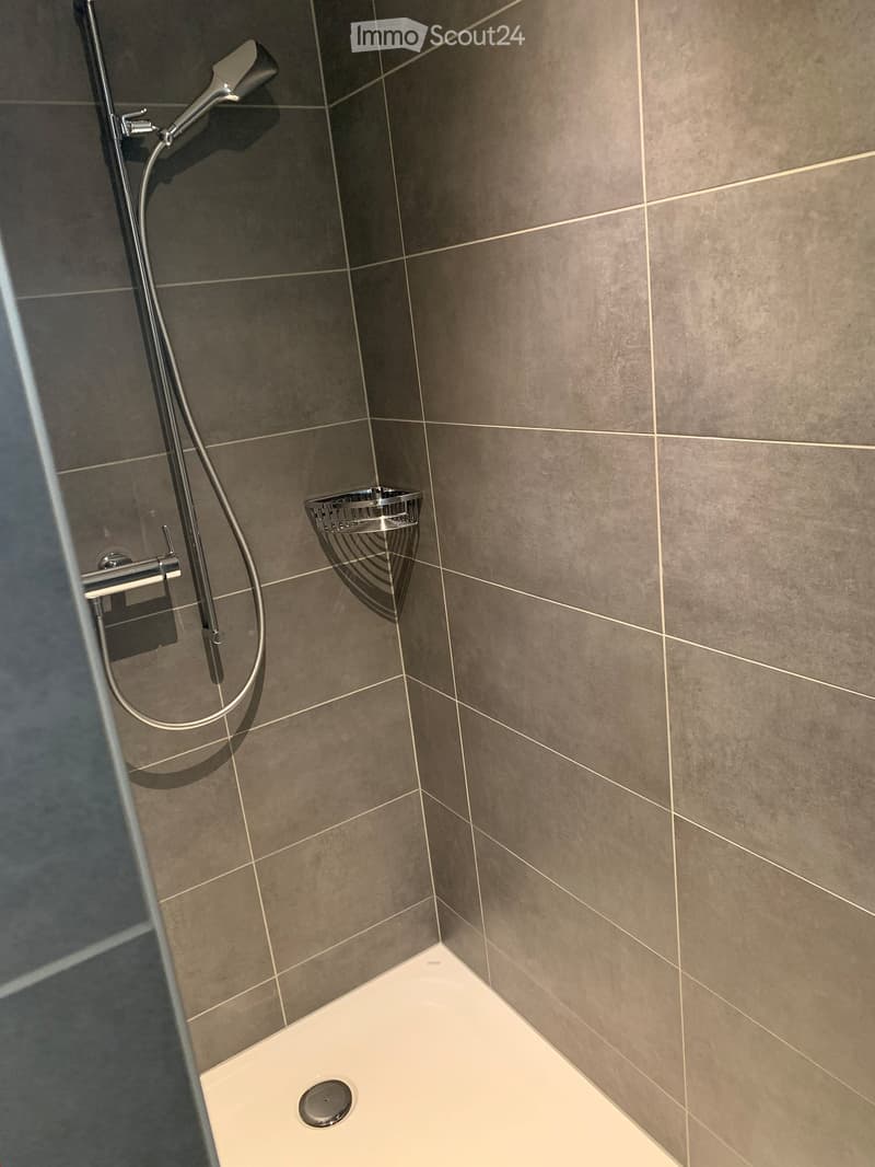 Modern shower area with grey tiled walls, white shower floor, and a handheld showerhead with a hose and a small shelf for toiletries.
