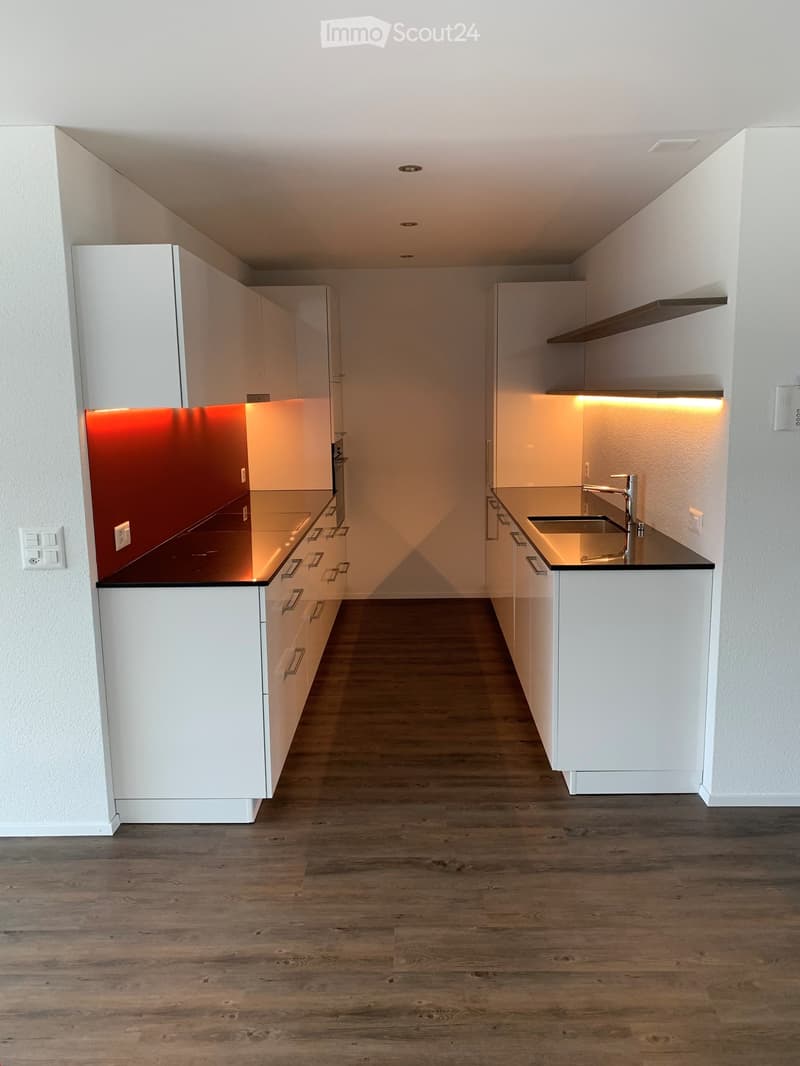 Modern kitchen with white cabinets, dark countertops, and wooden flooring. Features a sink with a modern faucet and built-in lighting above the counter.