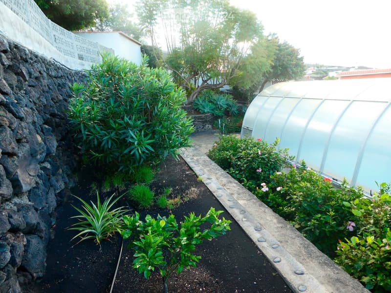 A well-maintained garden with various plants, a stone wall, a greenhouse, and a pathway.