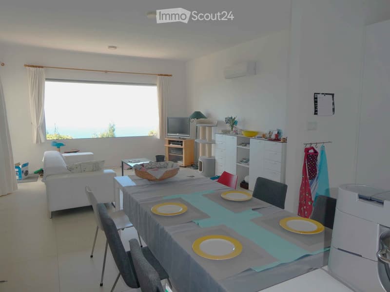 {"type": "Furnished Room", "objects": ["sofa", "dining table", "chair", "cat tree", "television", "refrigerator", "cupboard", "cat litter box", "cat bowl", "cat bed", "cat toy", "cat scratching post", "cat food bowl", "cat water bowl", "cat litter scoop",