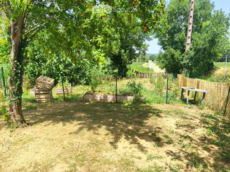 Garden area with fruit trees, crates, raised beds, and a bamboo fence.