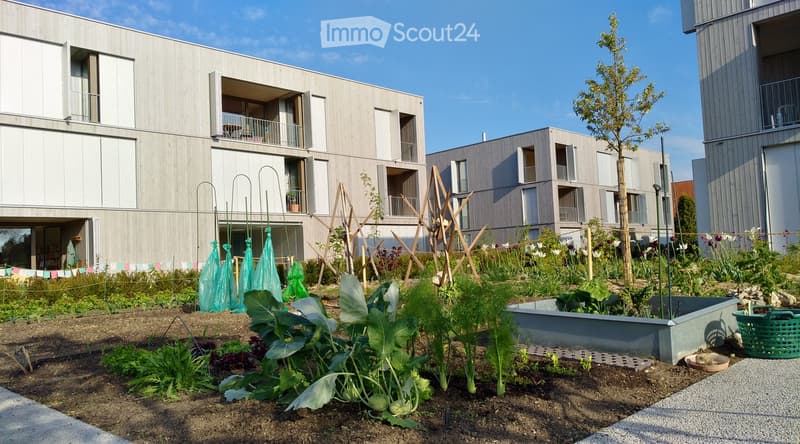 Modern residential complex with grey concrete buildings, balconies, and a community garden area with raised beds, vegetables, and a small tree.