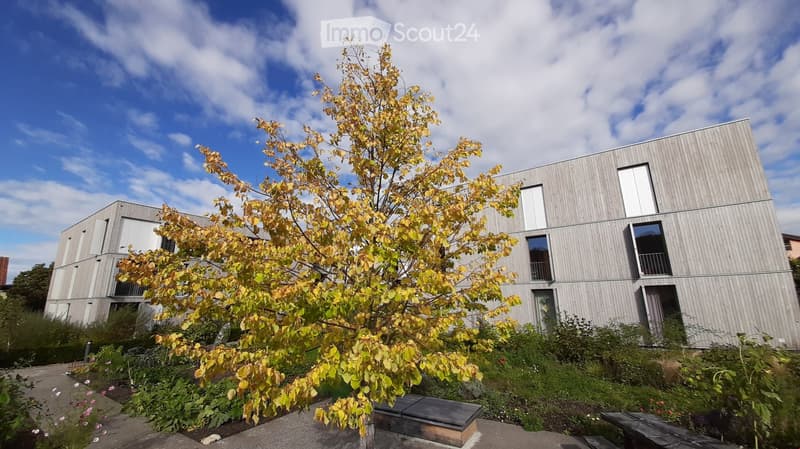 Modern two-story building with light wood siding, large windows, and balconies. A small tree with yellow leaves is in the foreground, surrounded by garden beds and pathways.