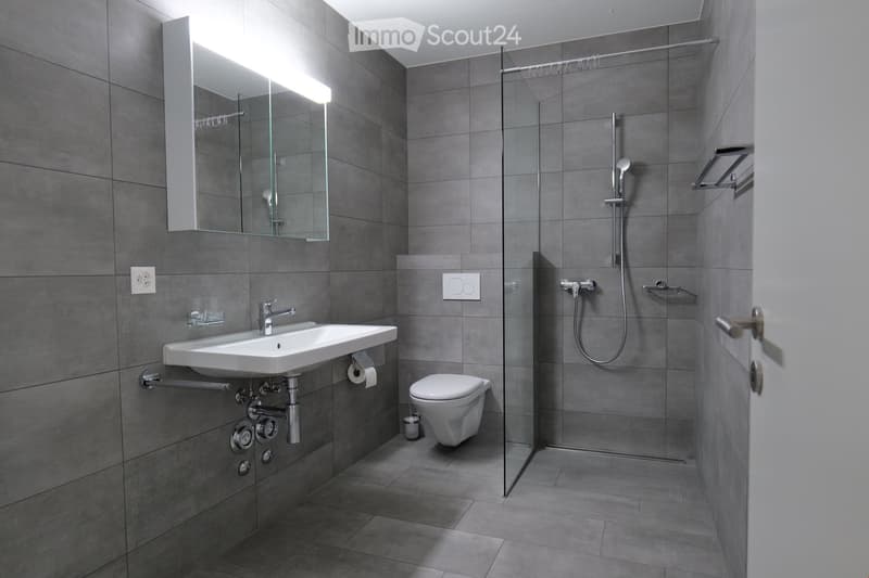 Modern bathroom with grey tiled walls and floor, featuring a white sink with a chrome faucet, a large mirror with built-in lighting, a toilet, and a glass-enclosed shower with a handheld showerhead.