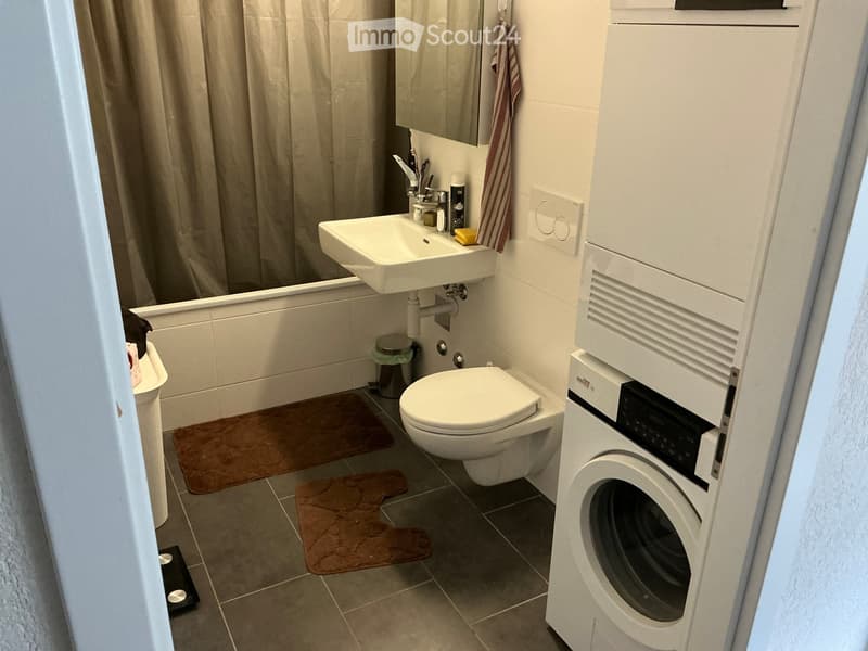 Compact bathroom with a sink, toilet, bathtub, washing machine, and a mirror above the sink. Includes a small trash bin and a brown bathroom mat.