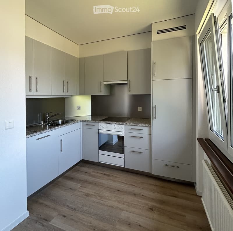 Modern kitchen with light grey cabinets, stainless steel appliances, granite countertops, and wooden flooring.